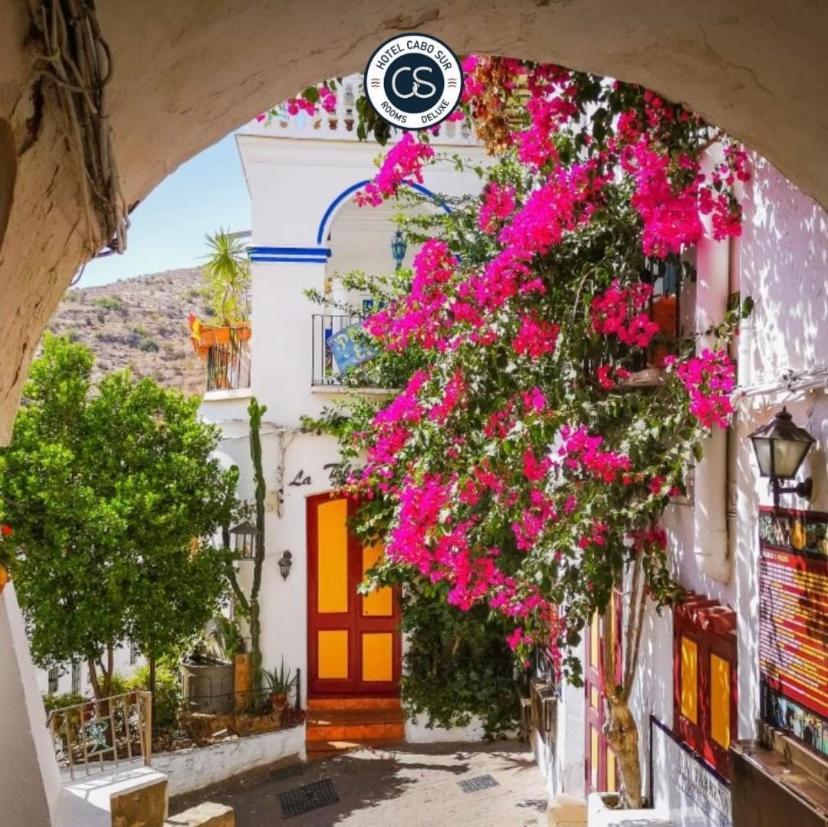 Hotel Boutique Cabo Sur モハカル エクステリア 写真