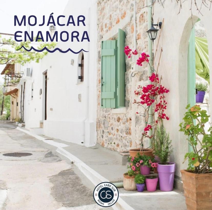 Hotel Boutique Cabo Sur モハカル エクステリア 写真