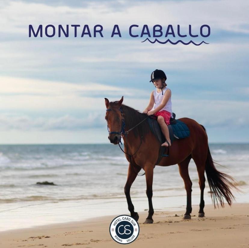 Hotel Boutique Cabo Sur モハカル エクステリア 写真